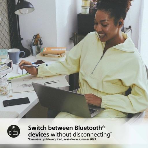 Sony B earphones switching