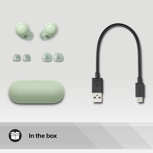 Sony B earphones Green pack