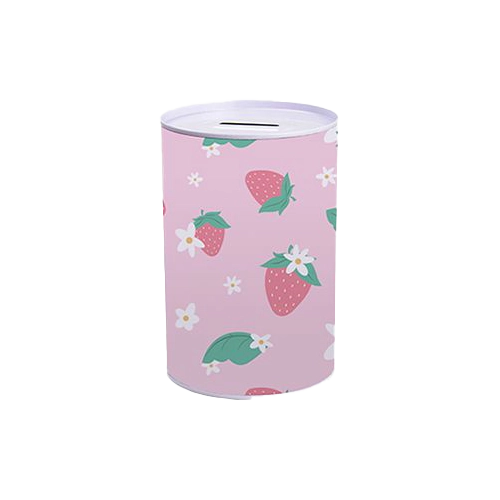 Girls_money_tin_Merch_&_cart_SB Girls_money_tin_Merch_&_cart_SB