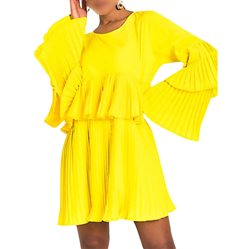 Job Lot Pleated Ruffle Mini Dress